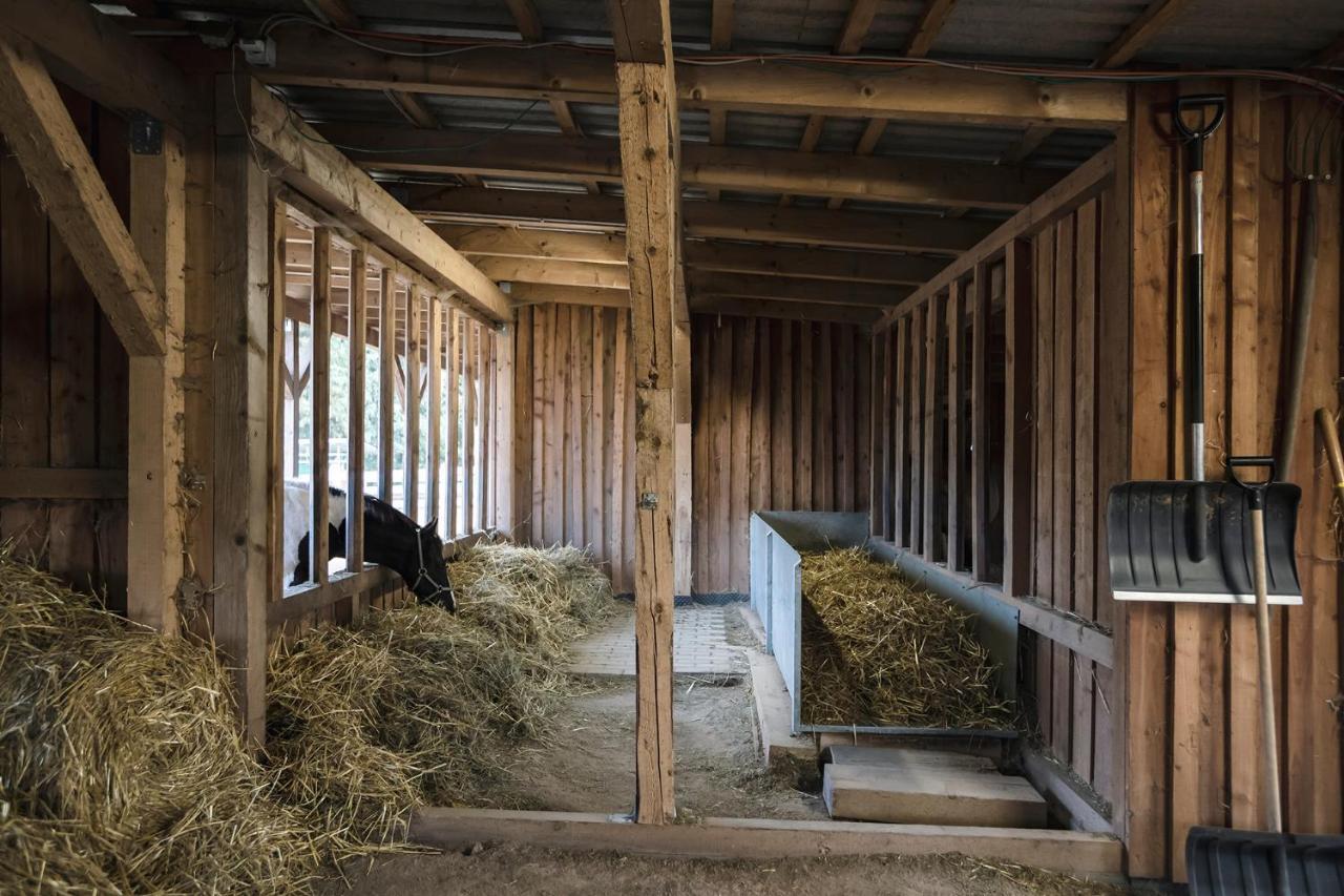Ranchhouse Bubble - Westernstable - Horse Elterlein Exterior photo